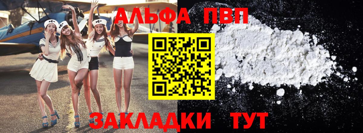 Альфа ПВП СК Северодвинск