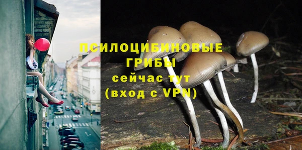 mdpv Краснотурьинск