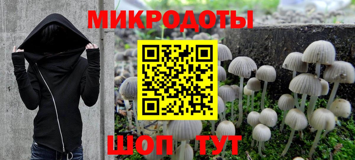 Северодвинск  где найти   Вход с VPN  Галлюциногенные грибы прущие грибы  Псилоцибиновые грибы прущие грибы 