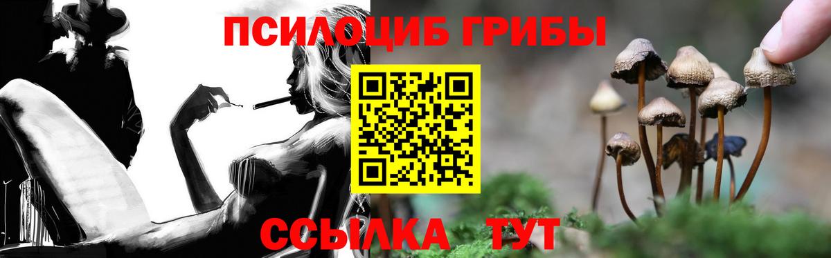 Галлюциногенные грибы Magic Shrooms  Галлюциногенные грибы GOLDEN TEACHER  купить закладку  Северодвинск 